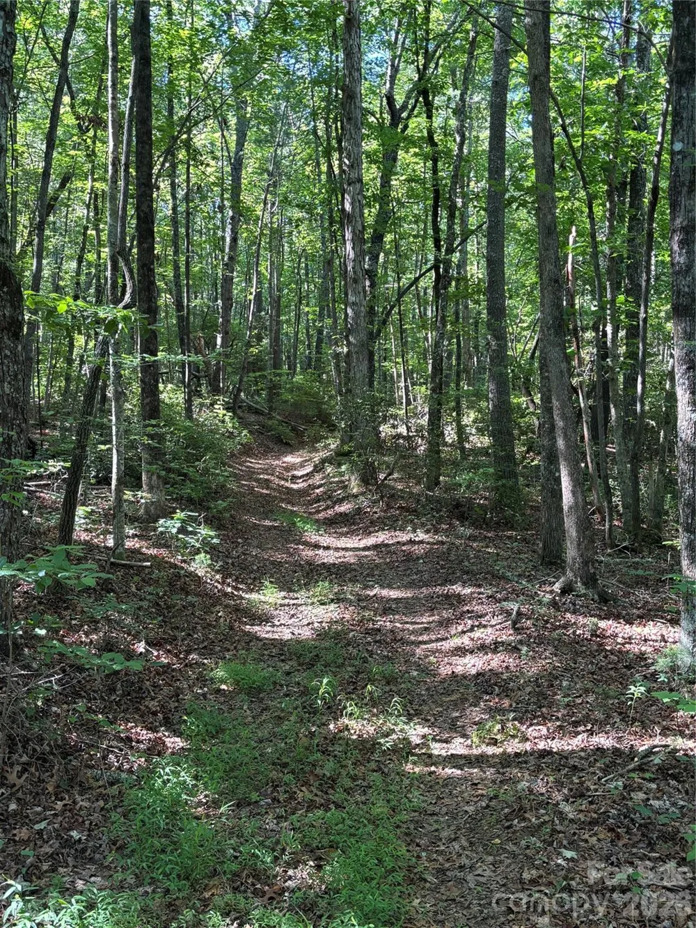 000 Stillwater Road Boomer, NC 28606