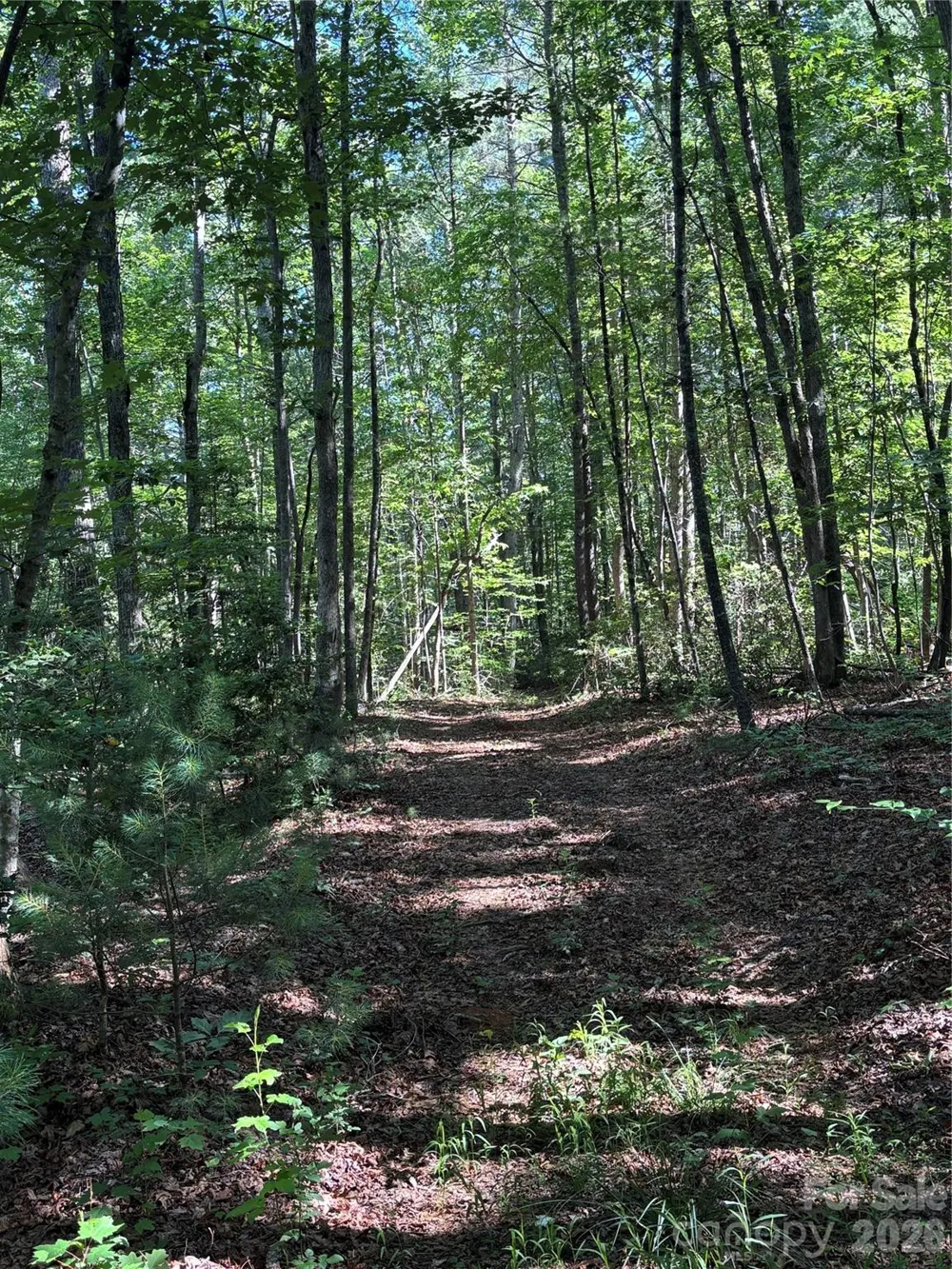 000 Stillwater Road Boomer, NC 28606