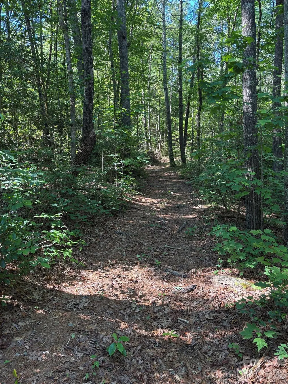 000 Stillwater Road Boomer, NC 28606