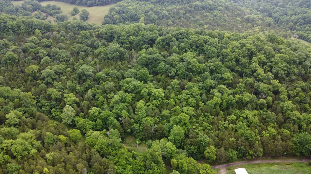 32 Patterson Ln Pleasant Shade, TN 37145