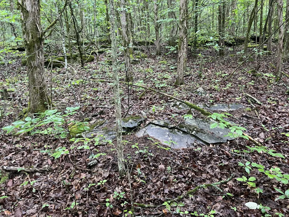 32 Patterson Ln Pleasant Shade, TN 37145