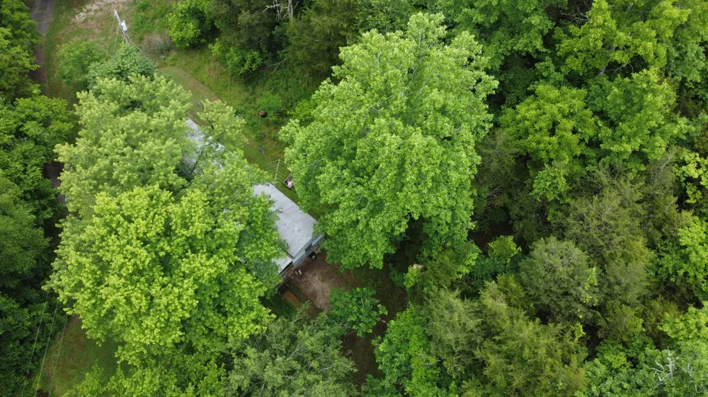 32 Patterson Ln Pleasant Shade, TN 37145