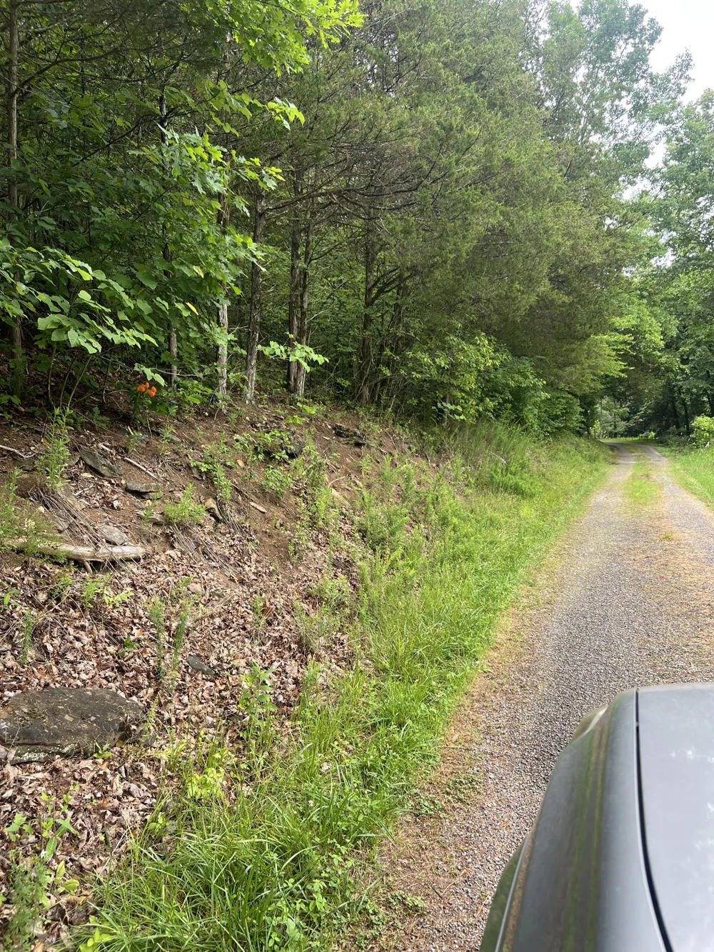 32 Patterson Ln Pleasant Shade, TN 37145