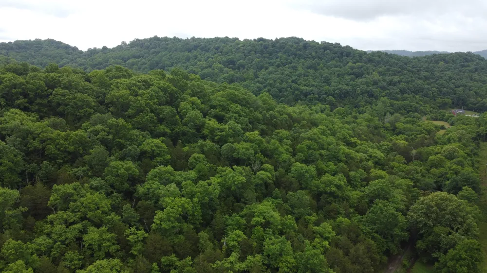 32 Patterson Ln Pleasant Shade, TN 37145