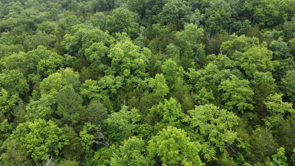 32 Patterson Ln Pleasant Shade, TN 37145