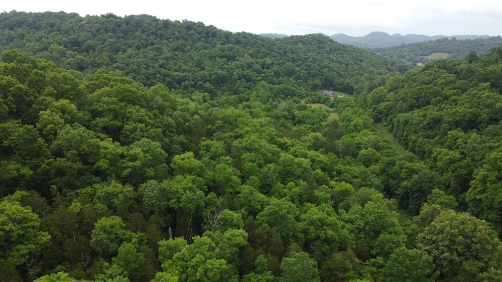 32 Patterson Ln Pleasant Shade, TN 37145