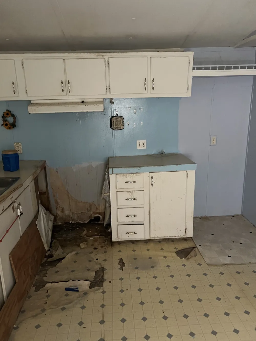 32 Patterson Ln Pleasant Shade, TN 37145