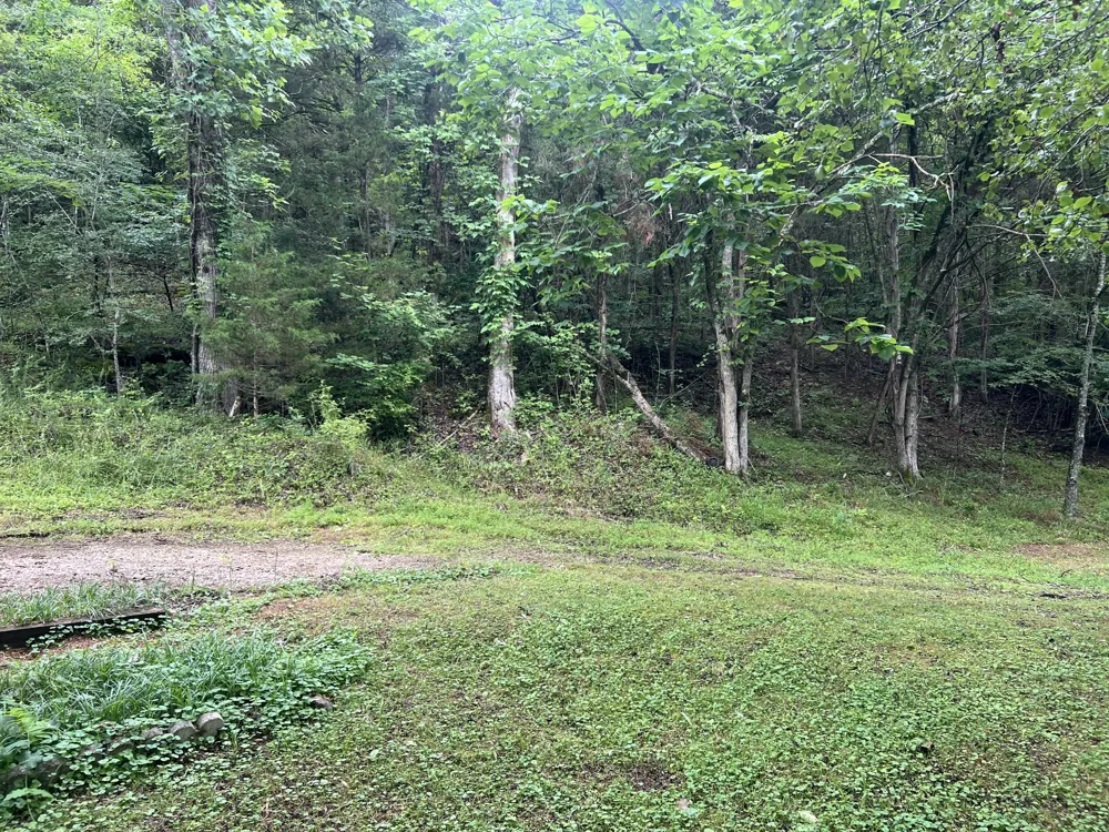 32 Patterson Ln Pleasant Shade, TN 37145