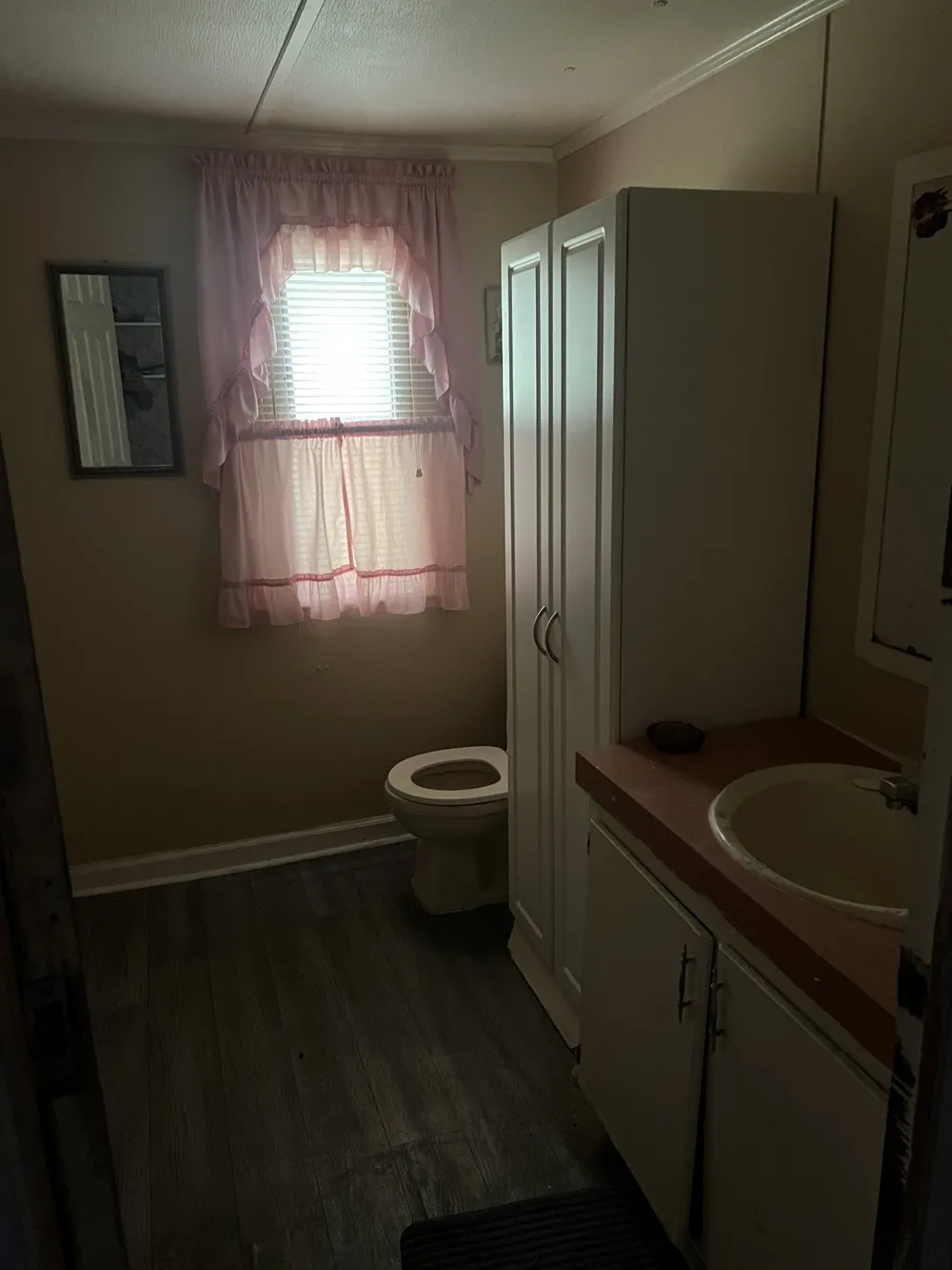 32 Patterson Ln Pleasant Shade, TN 37145