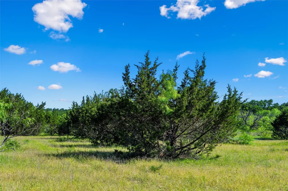 Adell Weatherford, TX 76088