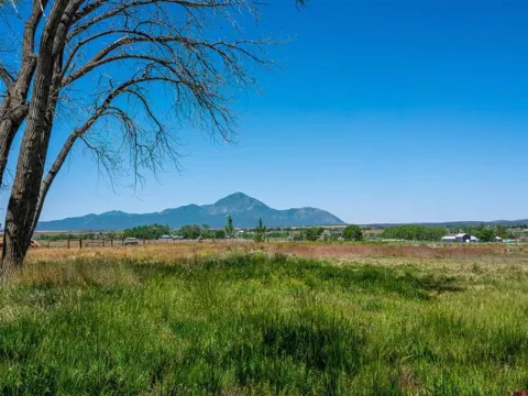 12195 Road 26
