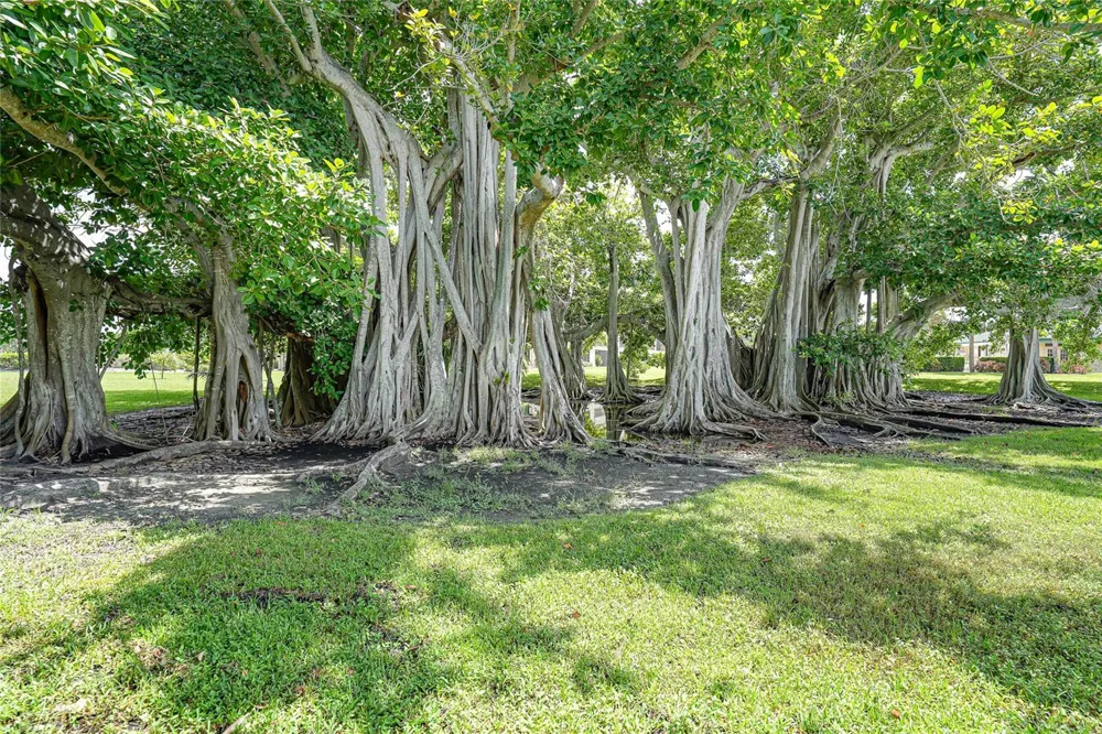 601 SHREVE STREET #51A Punta Gorda, FL 33950