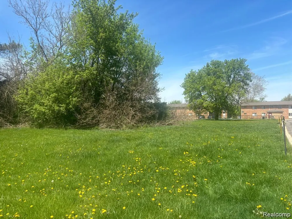 Ecorse Romulus City, MI 48174