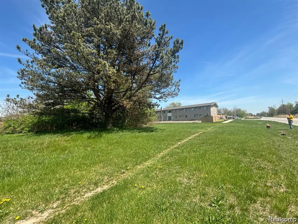 Ecorse Romulus City, MI 48174