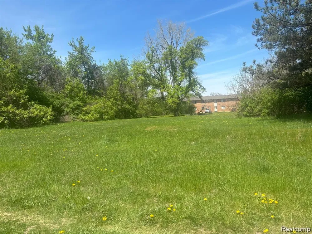 Ecorse Romulus City, MI 48174
