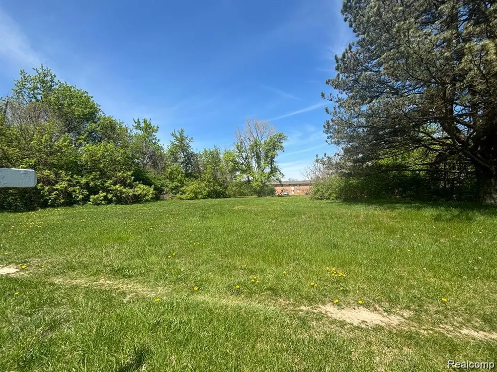 Ecorse Romulus City, MI 48174