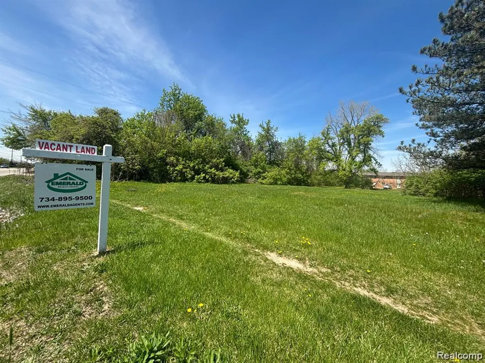 Ecorse Romulus City, MI 48174