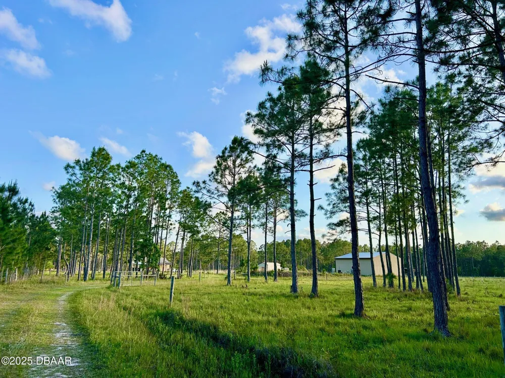201 Wasick Lane Ormond Beach, FL 32174