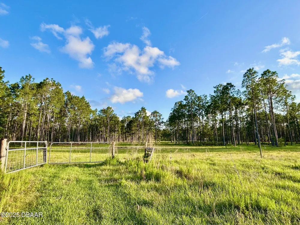 201 Wasick Lane Ormond Beach, FL 32174
