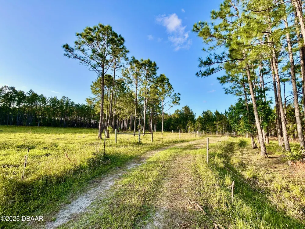 201 Wasick Lane Ormond Beach, FL 32174