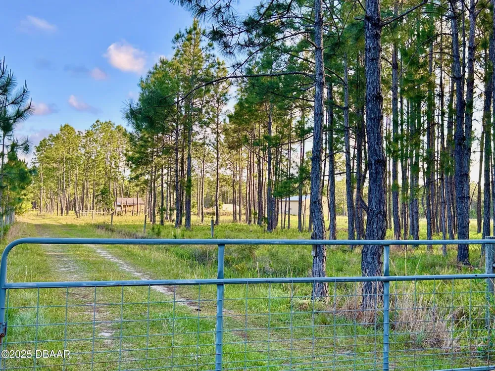 201 Wasick Lane Ormond Beach, FL 32174
