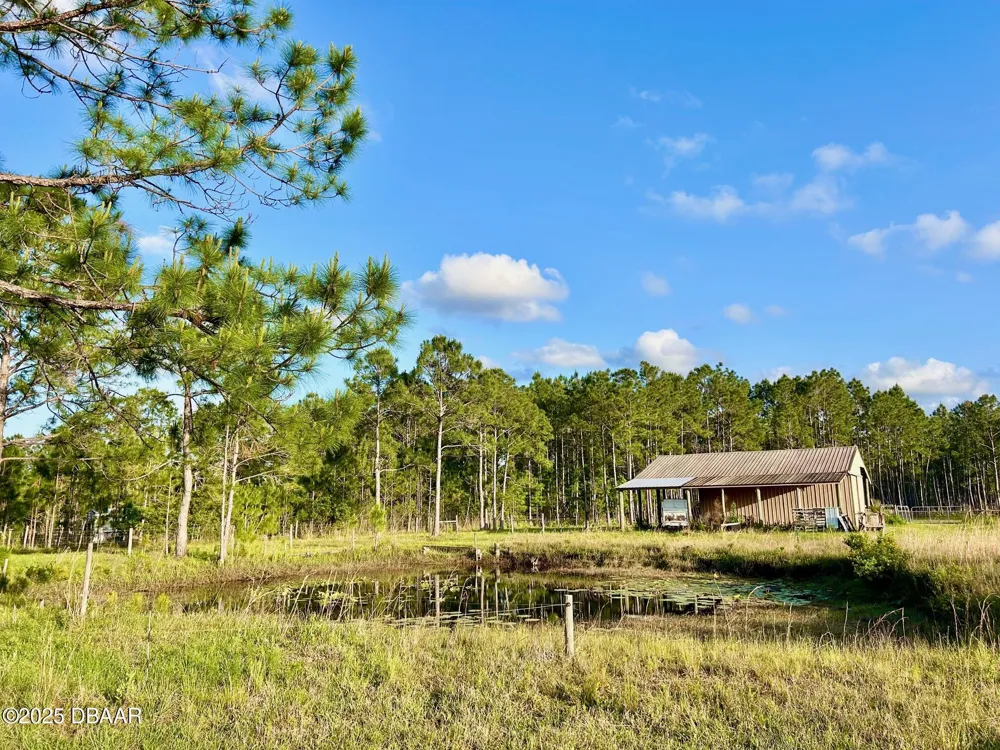 201 Wasick Lane Ormond Beach, FL 32174