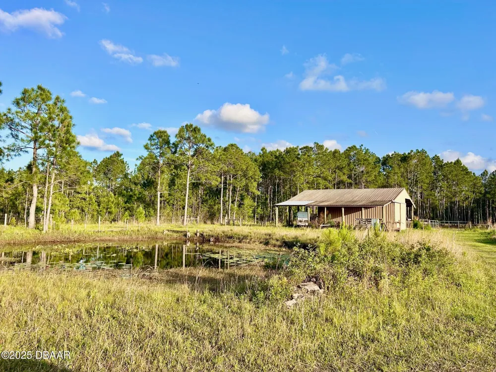 201 Wasick Lane Ormond Beach, FL 32174