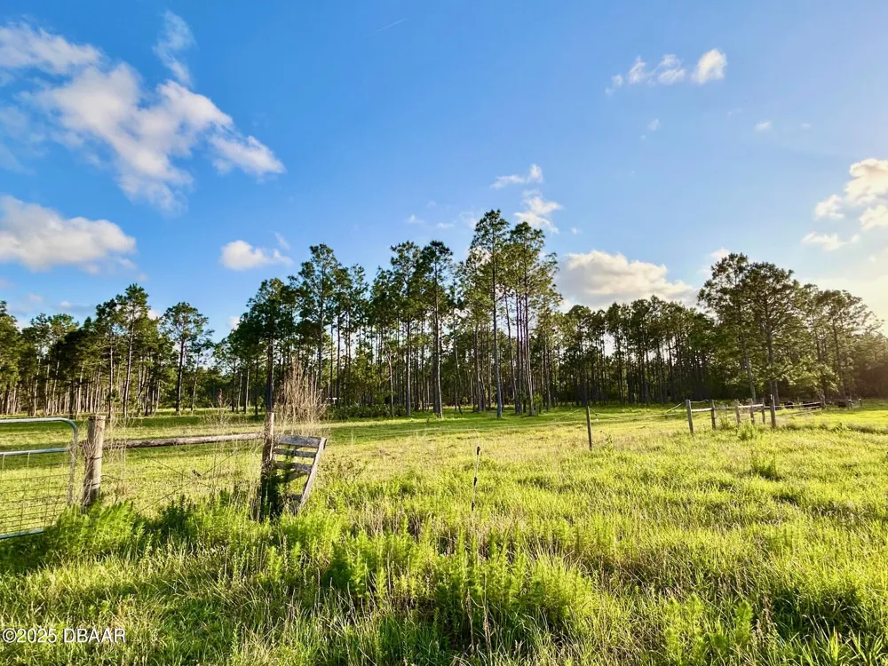 201 Wasick Lane Ormond Beach, FL 32174