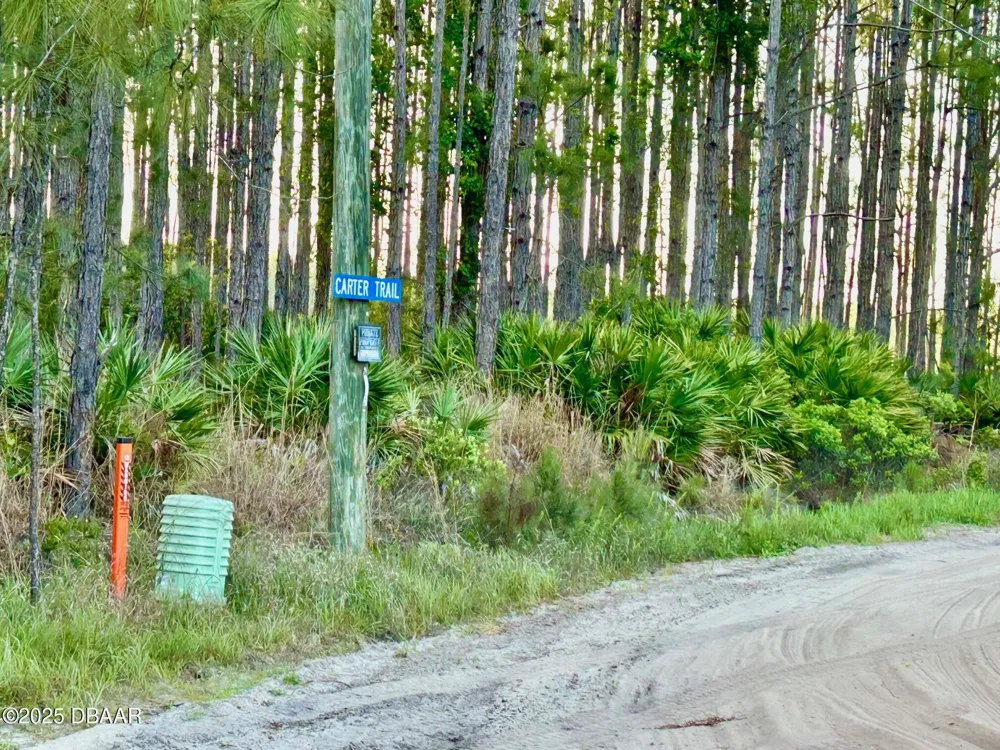 201 Wasick Lane Ormond Beach, FL 32174