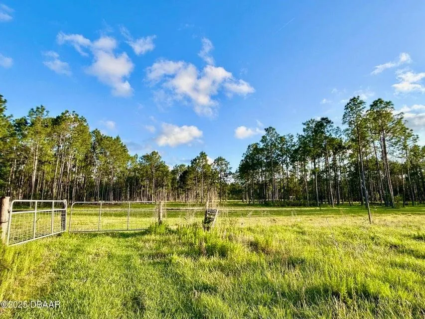 201 WASICK LANE Ormond Beach, FL 32174