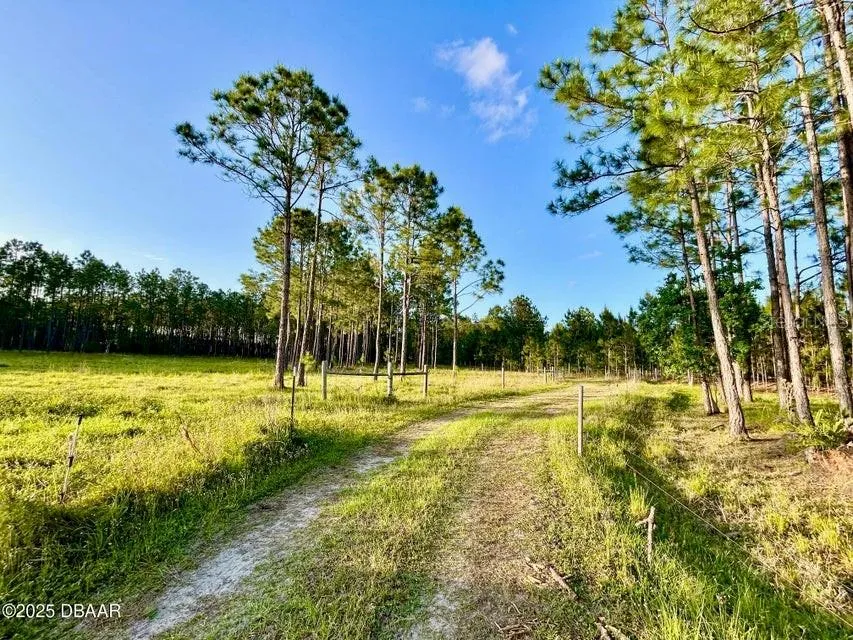 201 WASICK LANE Ormond Beach, FL 32174