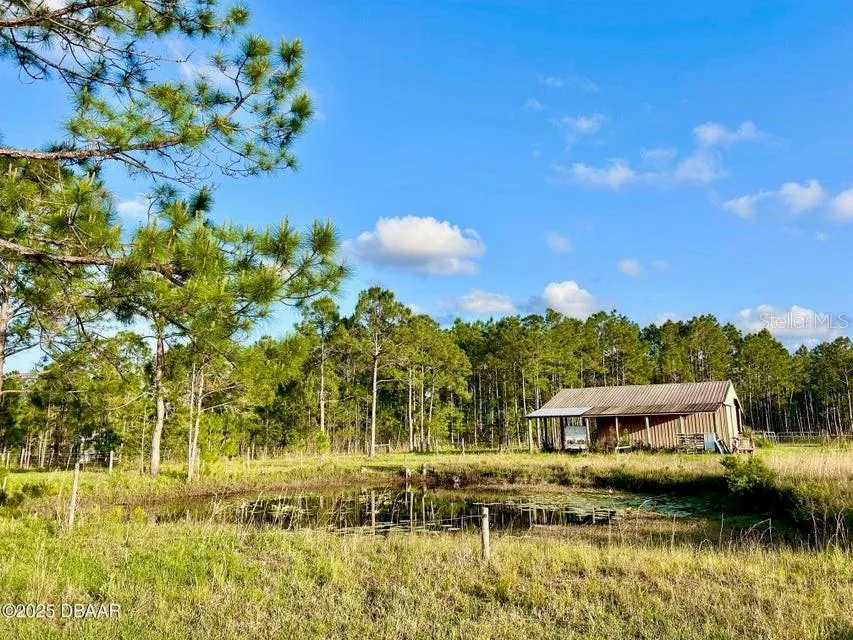 201 WASICK LANE Ormond Beach, FL 32174