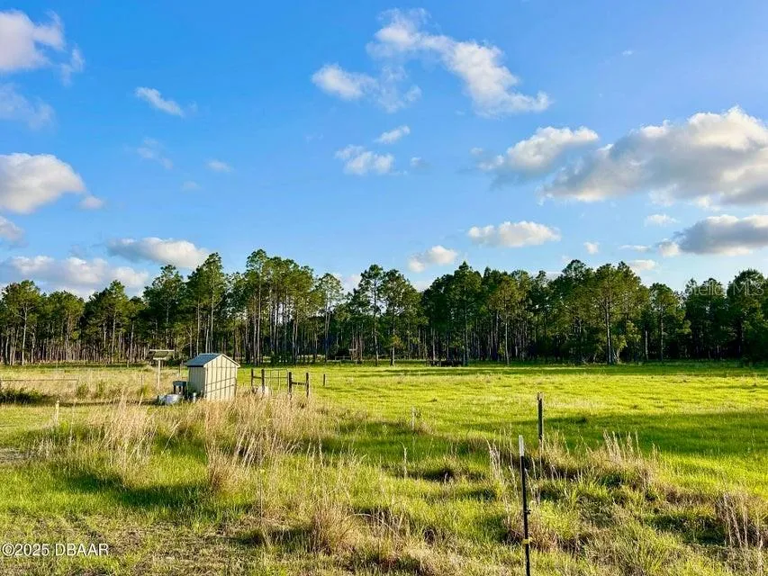 201 WASICK LANE Ormond Beach, FL 32174