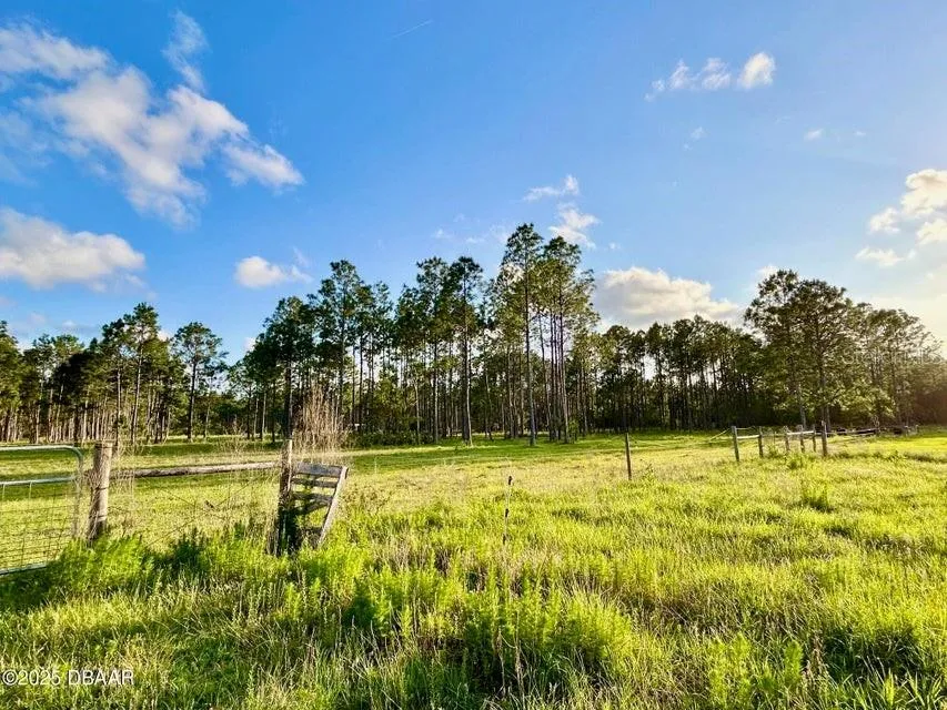 201 WASICK LANE Ormond Beach, FL 32174