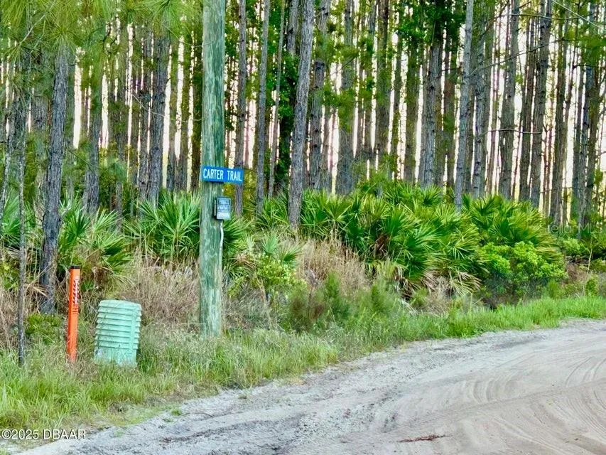 201 WASICK LANE Ormond Beach, FL 32174