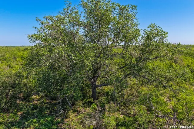 000 Private Road 5754 Castroville, TX 78009