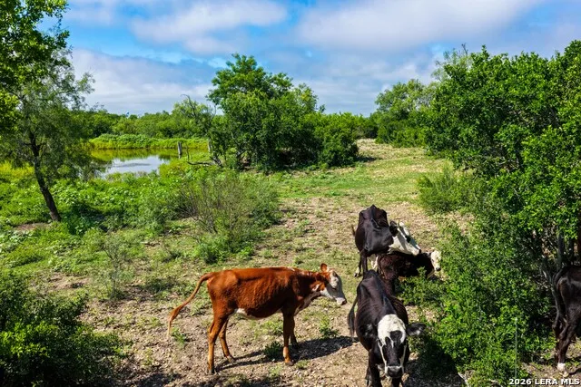 000 Private Road 5754 Castroville, TX 78009