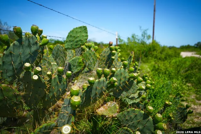 000 Private Road 5754 Castroville, TX 78009