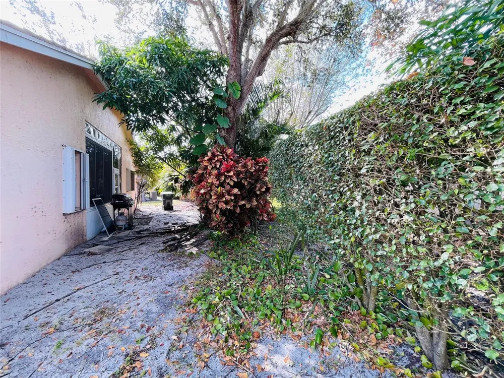 244 Caribe Court 