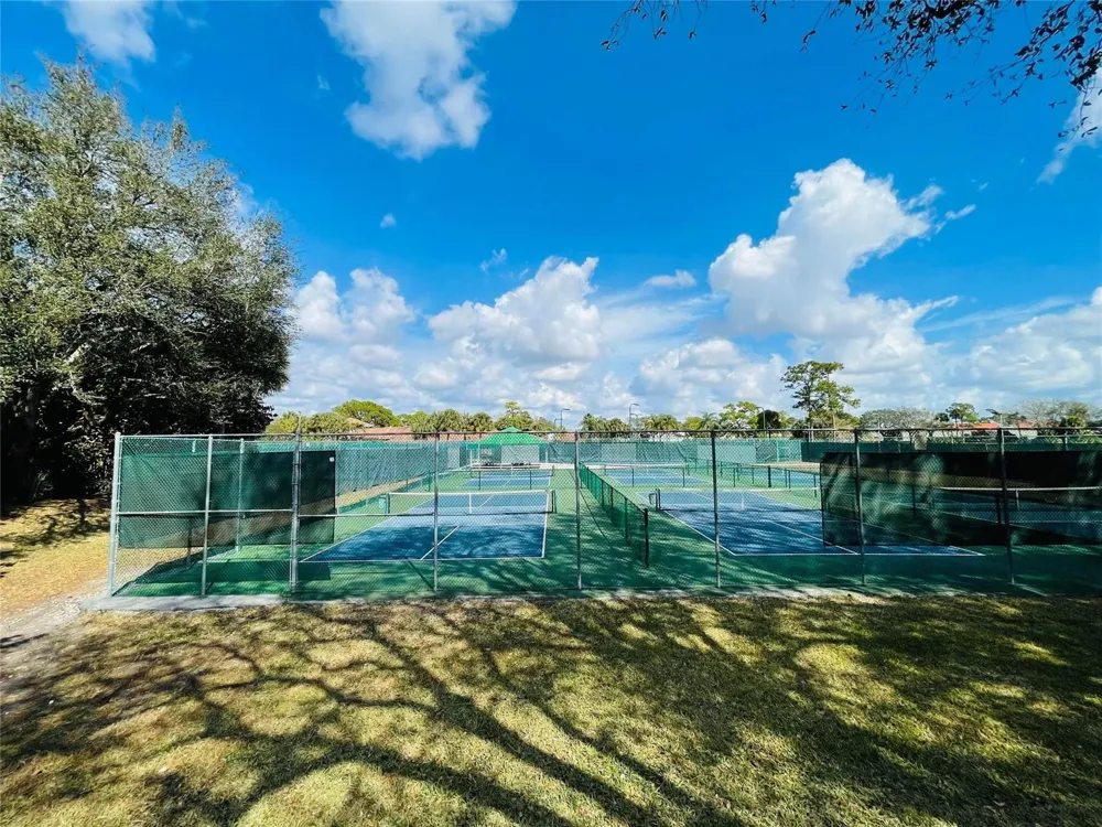 244 Caribe Court 