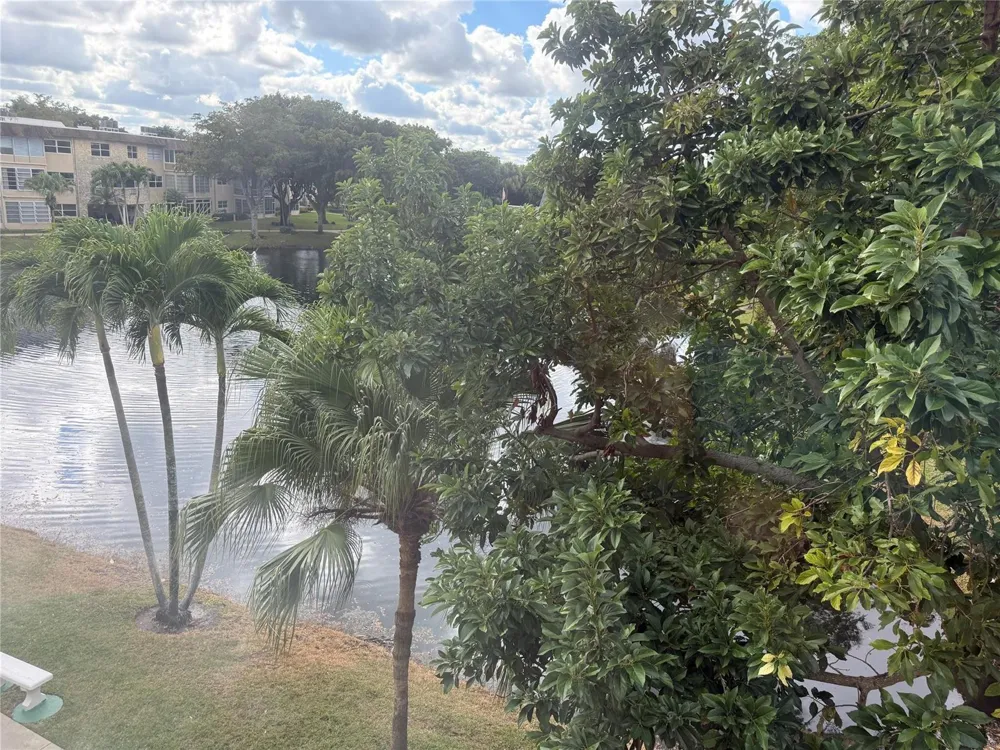 3431 NW 50th Avenue #304 Lauderdale Lakes, FL 33319