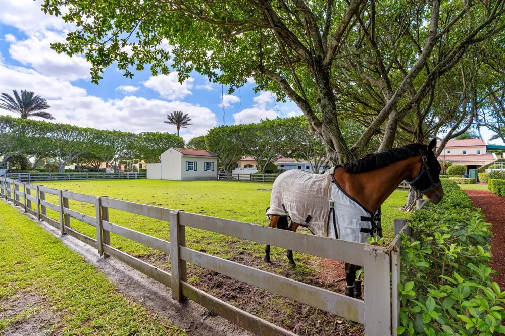 3151 Hickstead Place Wellington, FL 33414