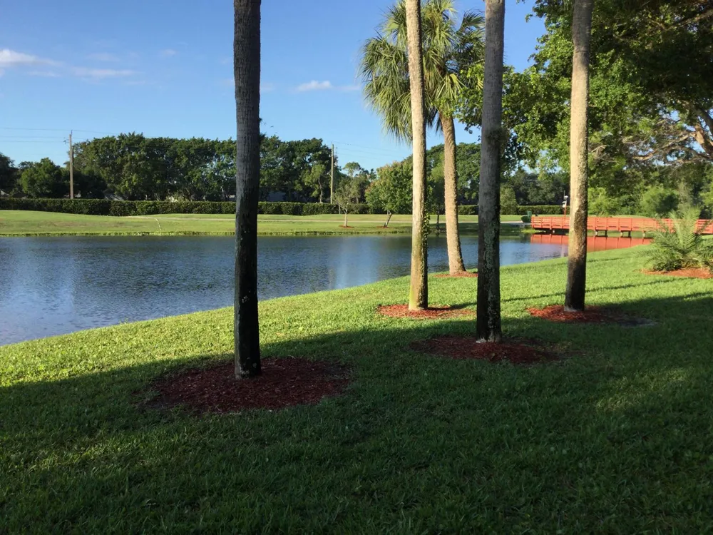 2240 SW 92nd Terrace #2402 Davie, FL 33324