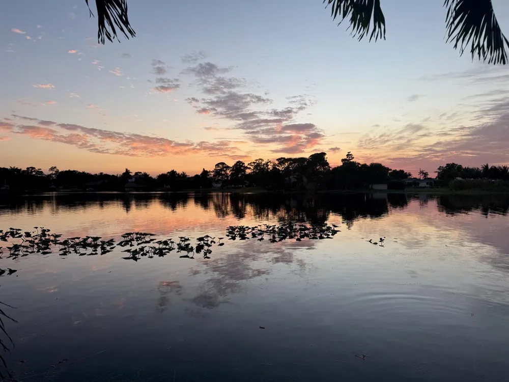 6647 Paul Mar Drive Lantana, FL 33462
