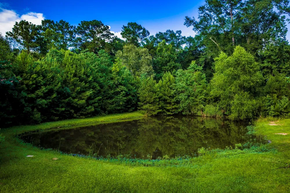 1699 Old Woodville Road Livingston, TX 77351