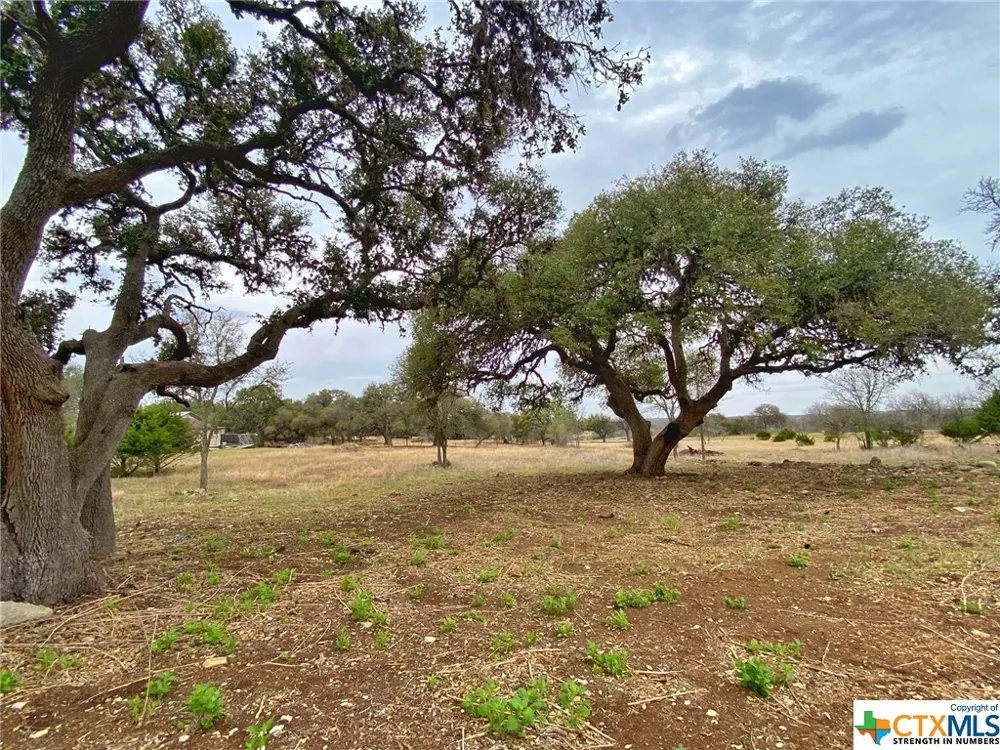 109 Rio Grande Drive Blanco, TX 78606