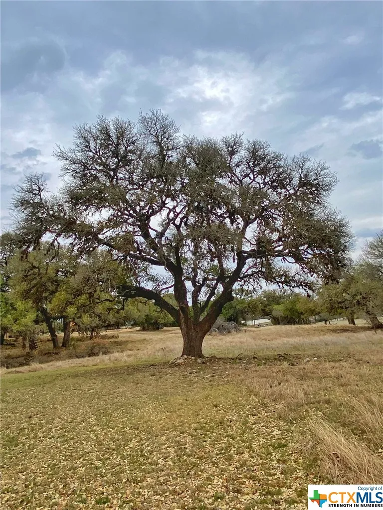 109 Rio Grande Drive Blanco, TX 78606