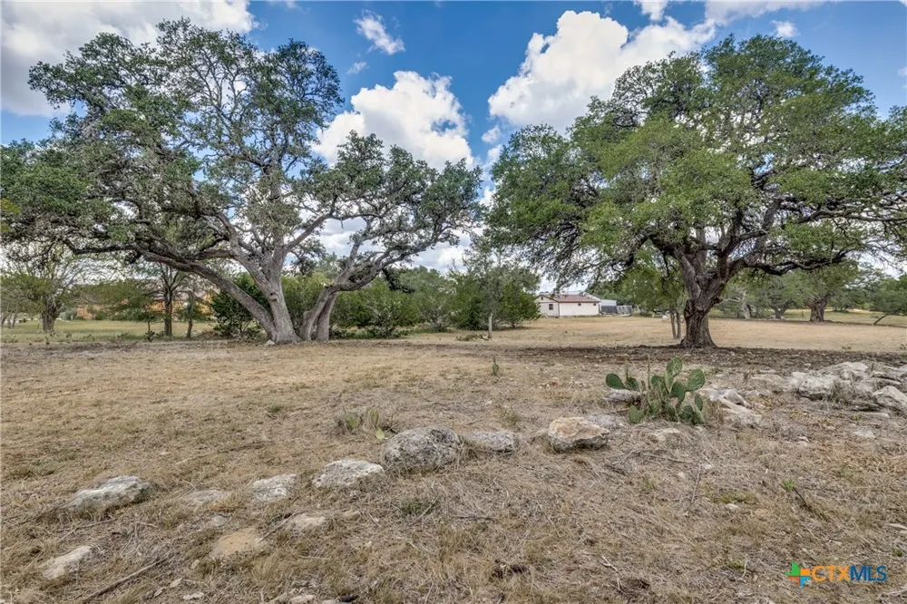 109 Rio Grande Drive Blanco, TX 78606
