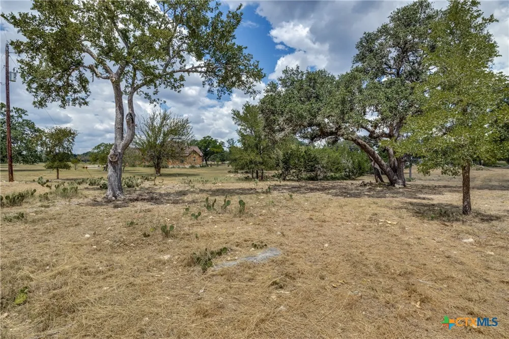 109 Rio Grande Drive Blanco, TX 78606