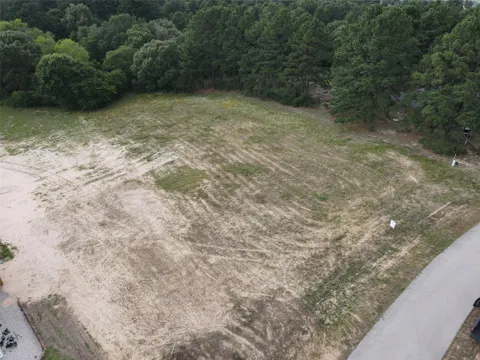 Palomino Court